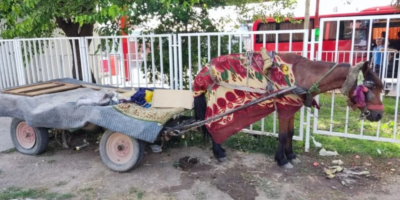 Krvnički je pretučena, ali je preživela: Sećate se Aurelije?