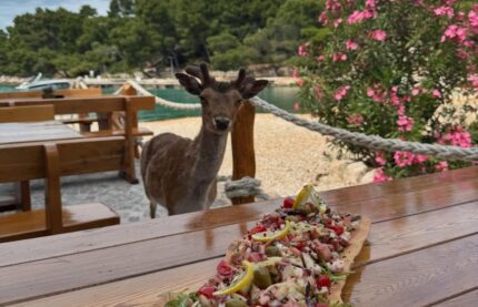 Na ovom hrvatskom otoku jeleni slobodno šeću uz plaže, a njegova prošlost krije sasvim neočekivanu priču