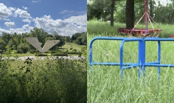 Trava progutala Šumarice, zarastao i park u Ilinoj vodi (FOTO/VIDEO)