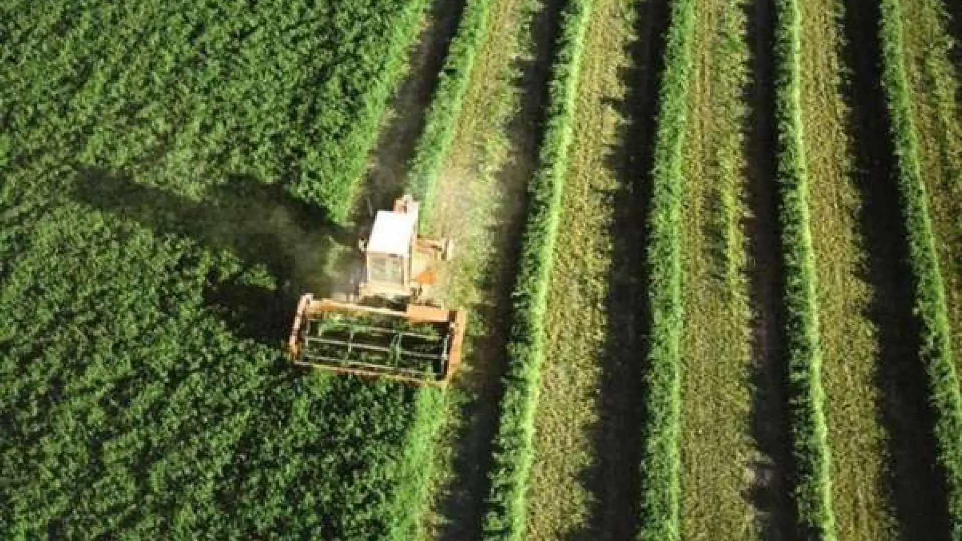  España entra en déficit ecológico: este jueves ya habrá consumido todos los recursos naturales que le corresponden para este año 