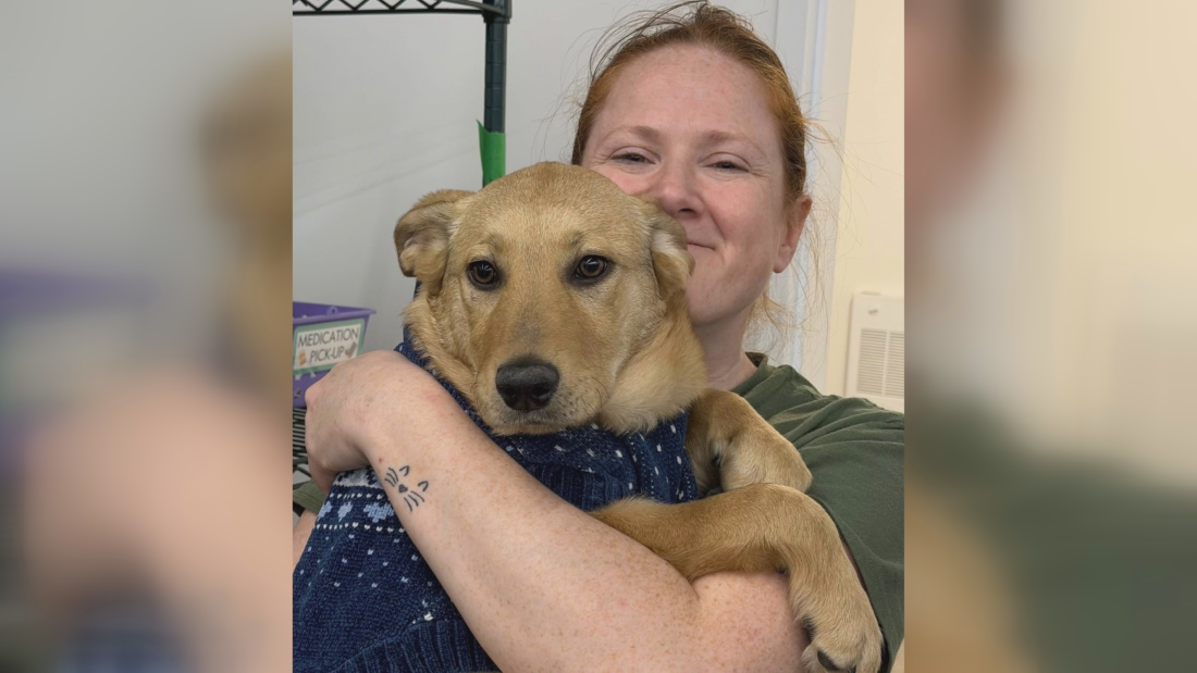 Woman killed while trying to rescue stray dogs in northern Manitoba