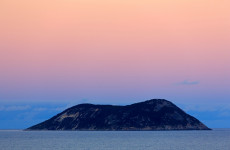 Diver killed in shark attack in Western Australia