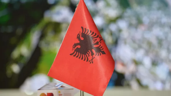 Дрецун: Албанија третира КиМ као своју територију, континуитет великоалбанске политике