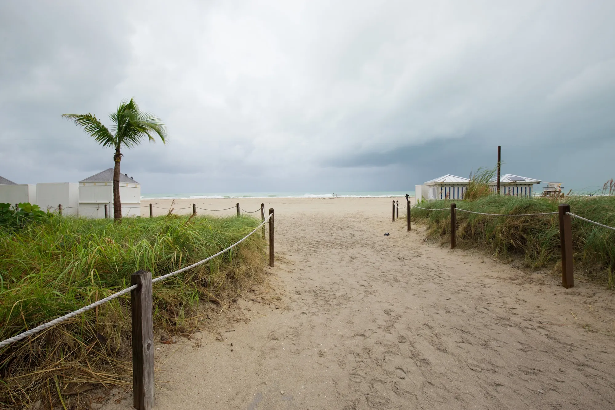 The 10 best rainy-day activities in Miami