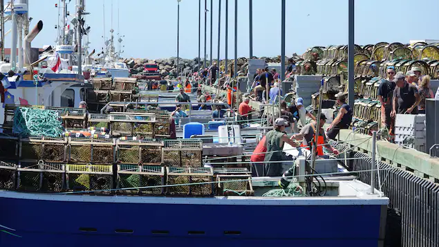  Le Fonds des pêches du Québec renouvelé et bonifié 