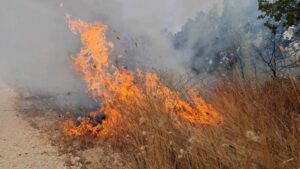 CUK: Do 18 časot registrirani osum požari na otvoreno, eden sè ušte aktiven