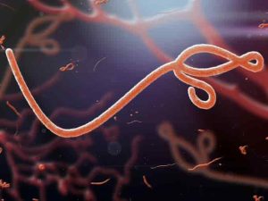 Surveillance ends for BA passengers in Ebola scare