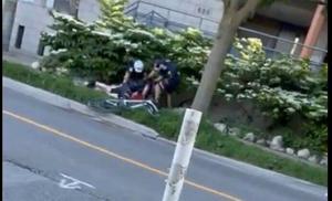 SIU investigating after cyclist tackled by Toronto police officers