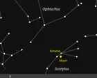 Starwatch: Identifying the Scorpion, mythical adversary of Orion