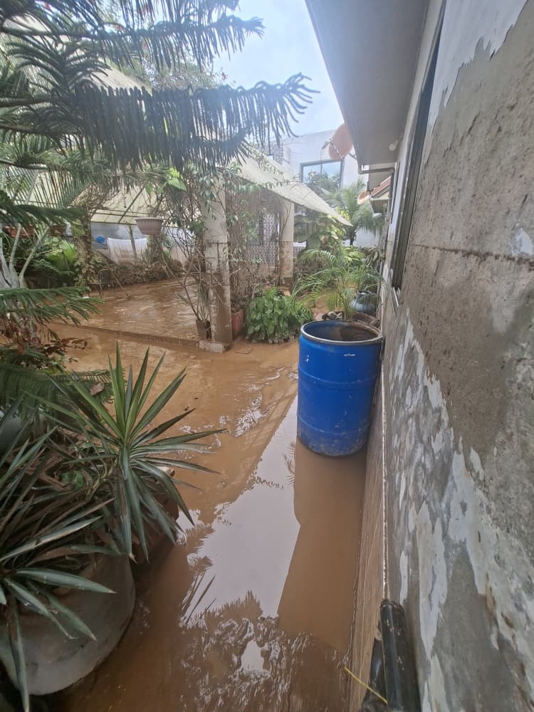 Accra floods: Years of hard work swept away as Florist loses everything
