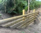 Country diary: Beaver-style flood defences take root amid a hosepipe ban | Kate Blincoe
