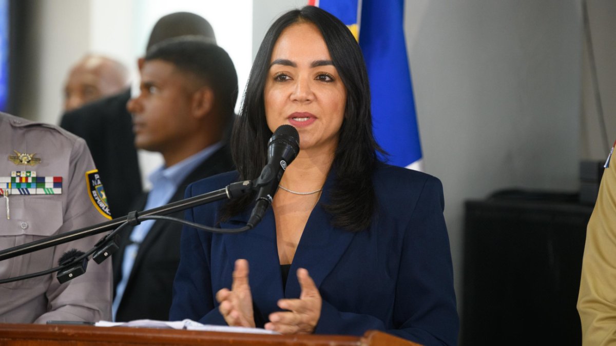 
                Faride Raful promete cero impunidad abusos PN
            