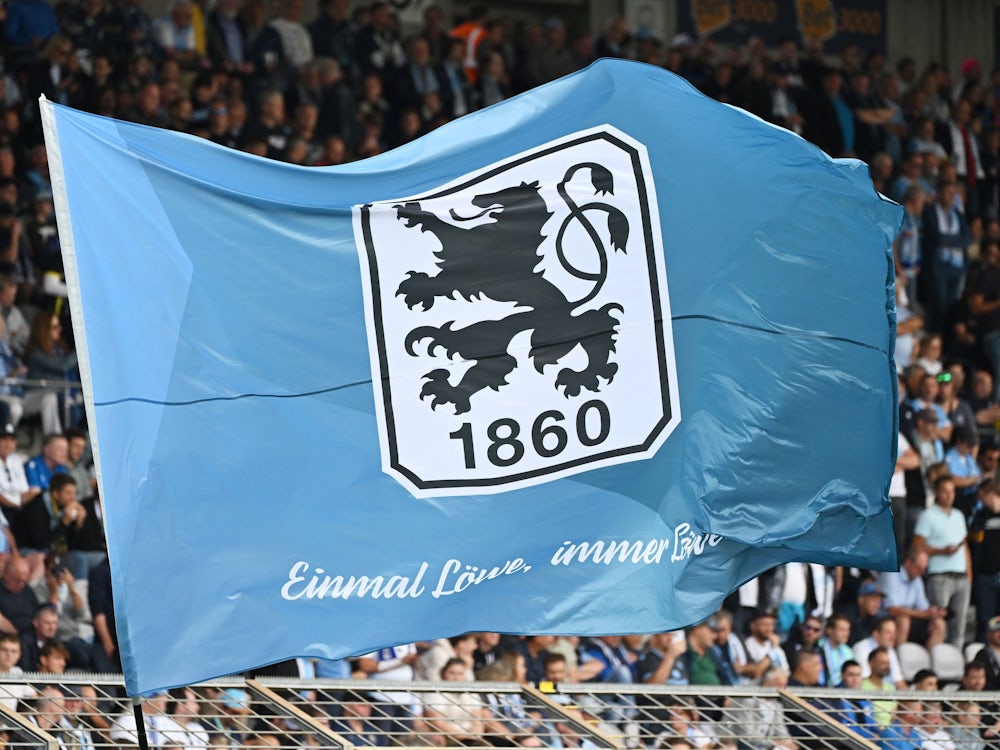 Fans von 1860 München: Einmal Pein, immer Pein