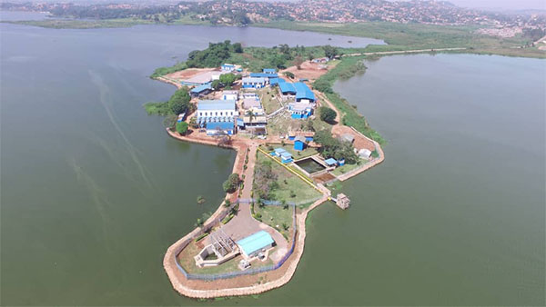 Uganda’s utility bets on scale, technology and reform to keep pace with a fast-growing nation