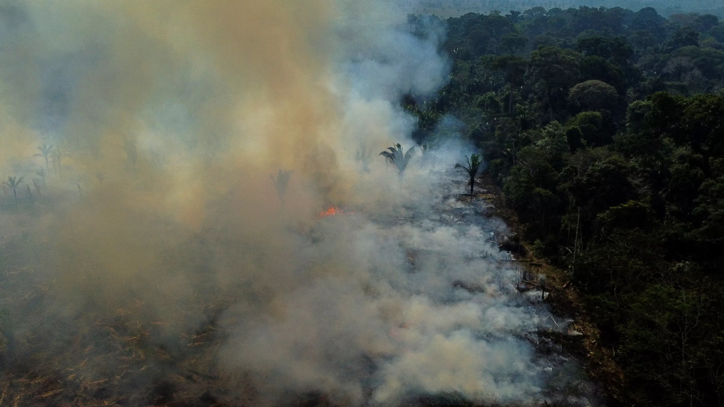 Une chute «hors norme» : les incendies en Amazonie brésilienne sont tombés en 2025 à leur plus bas niveau historique