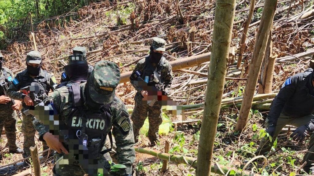 Ley de tierras aprobada ayer en Honduras podría criminalizar reclamos de campesinos, advierte la ONU