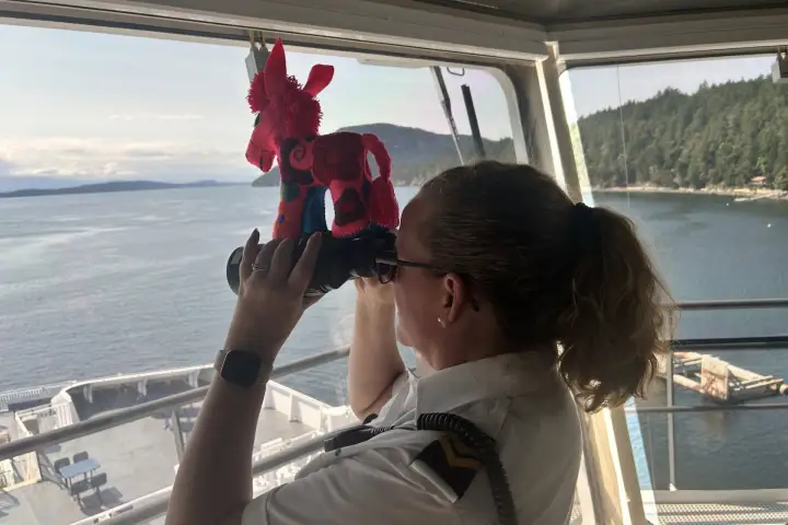 Churro the Burro’s adventure on BC Ferries delights thousands