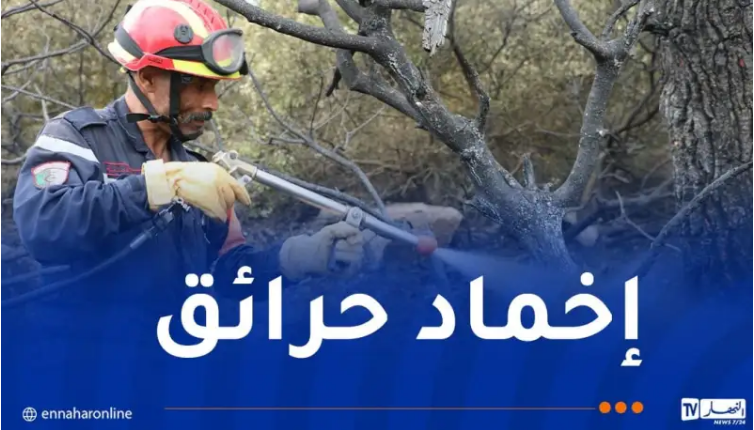 42 بؤرة قيد الإخماد.. تسجيل 172 حريقا عبر الوطن