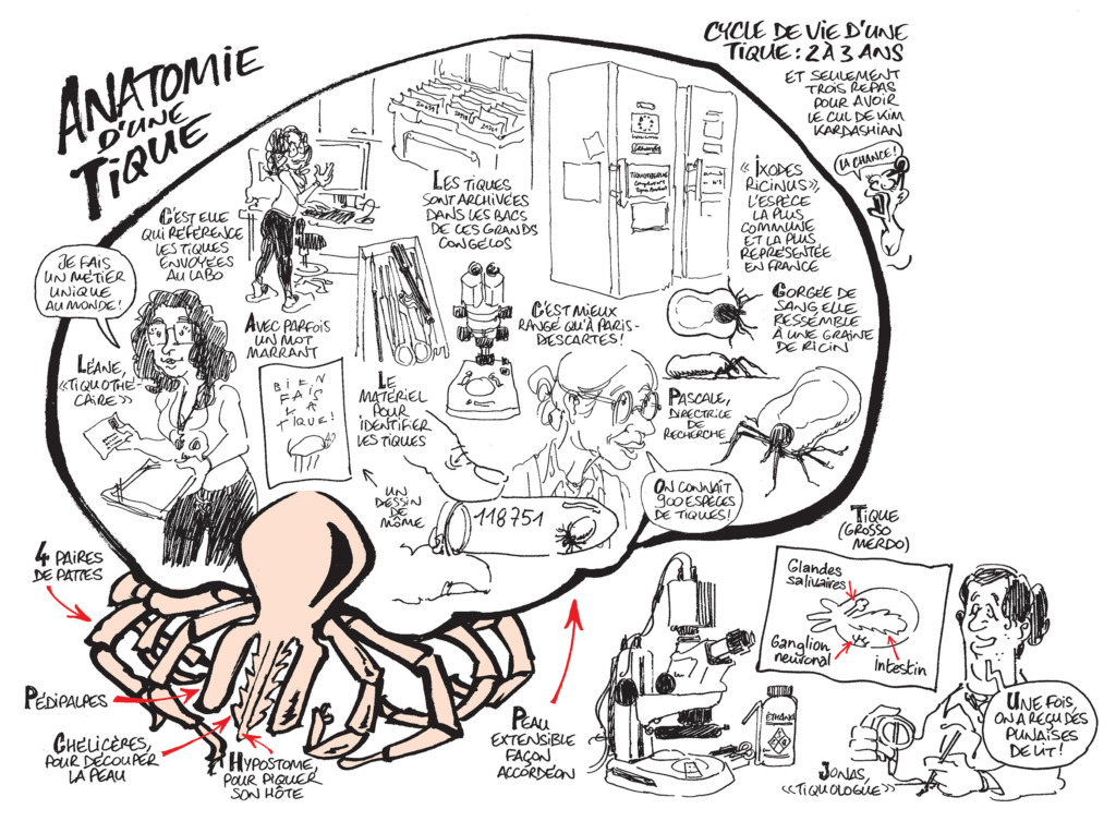 Reportage. Tiques en stock