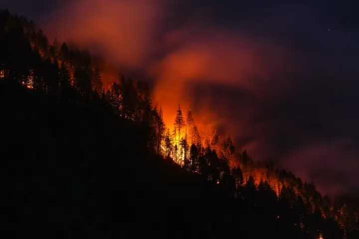 Is Canada doing enough to prevent forest fires from getting out of control?