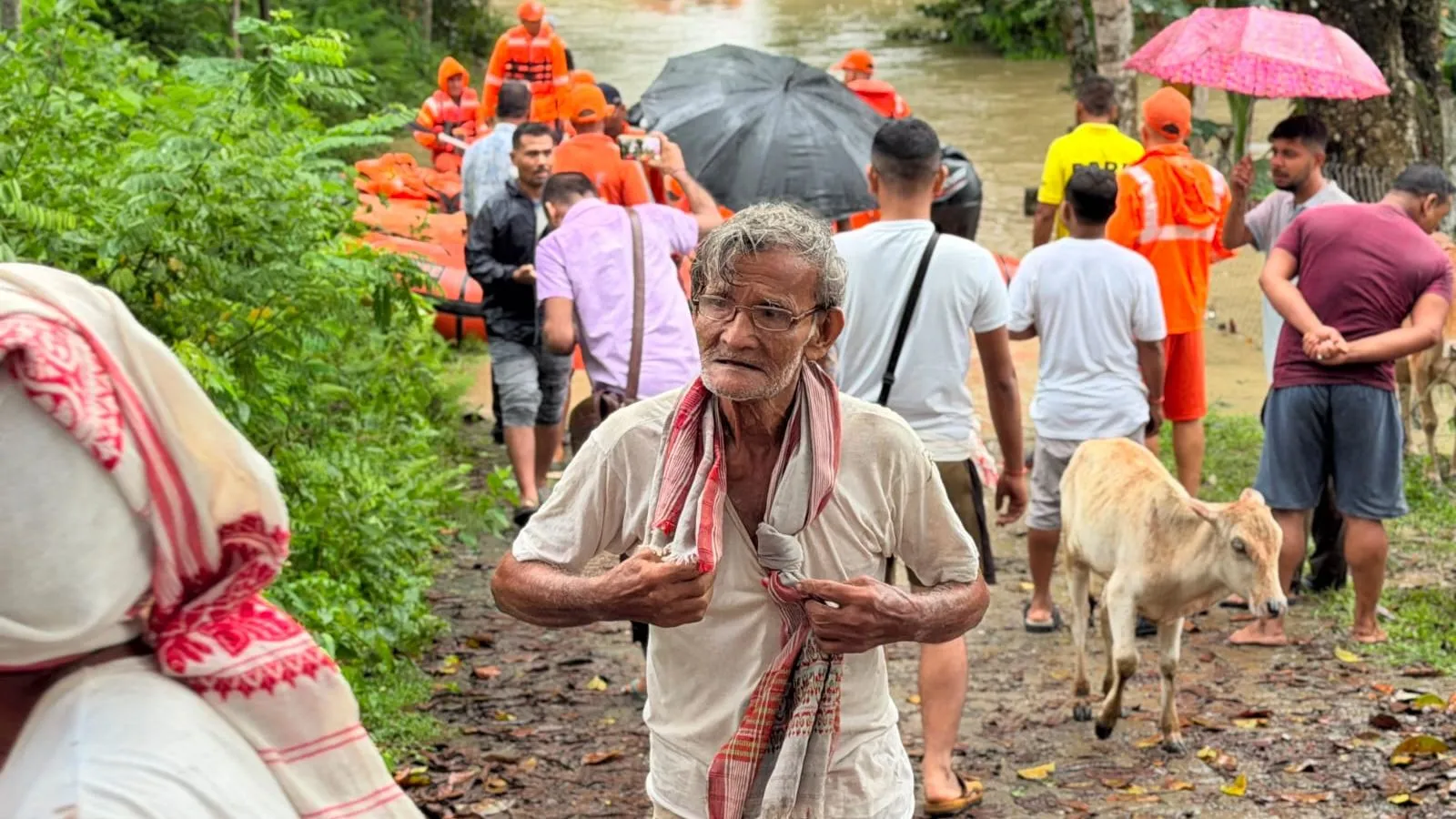 ‘Water has reached our chest’: 1.7 lakh people hit by Assam floods