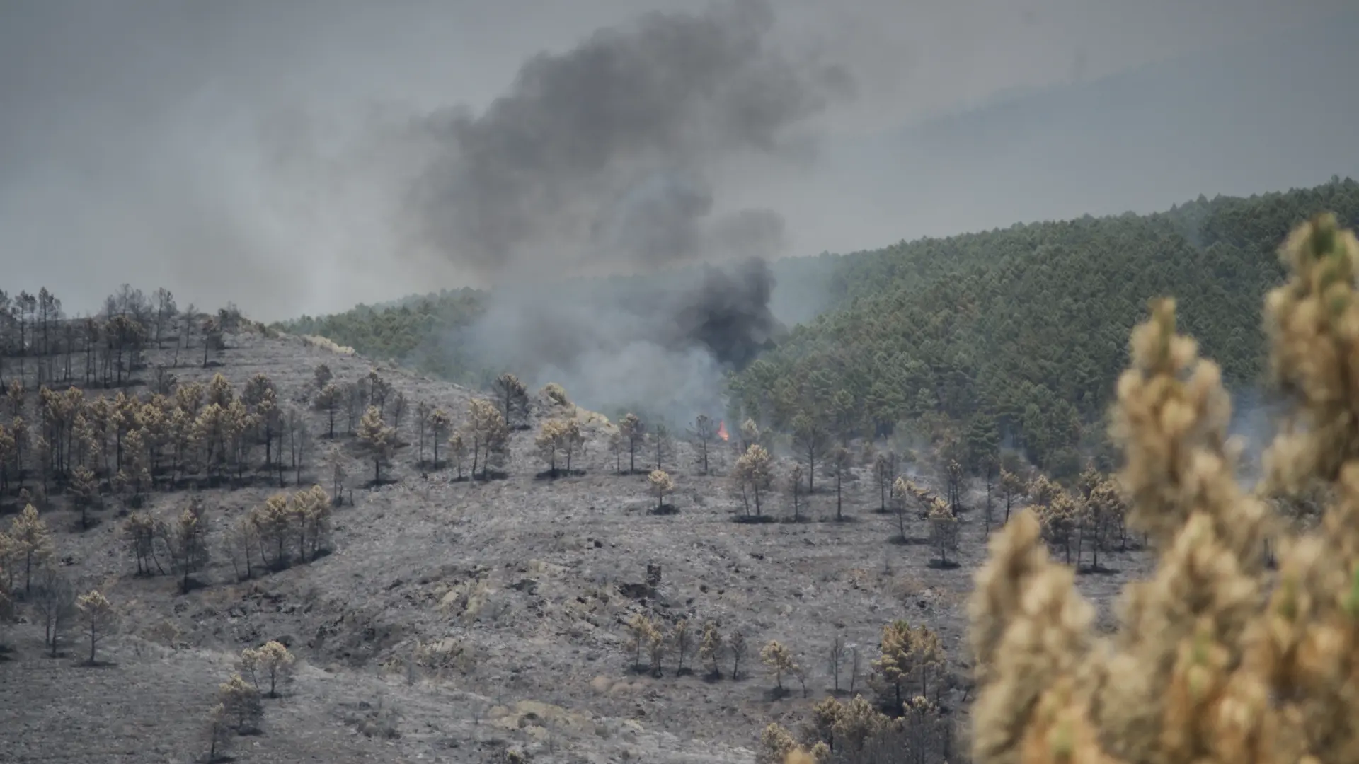 Los dos peores incendios del año suman más de 30.000 hectáreas: frena el de Orés, pero la Mierla se agrava y evacúan 25 municipios 