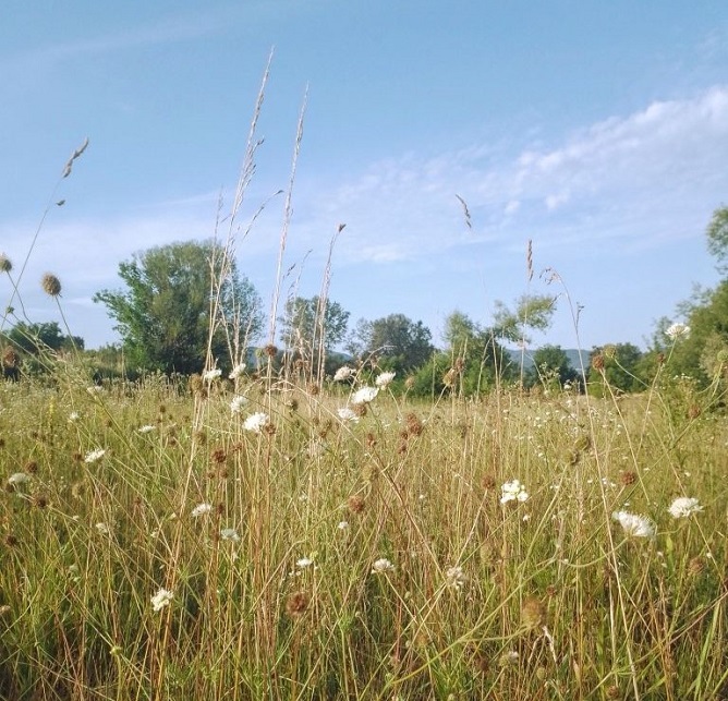 Pretežno sunčano i toplo, temperatura do 37 stepeni