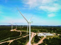 Farmacêutica Organon amplia parque solar em complexo industrial de Campinas